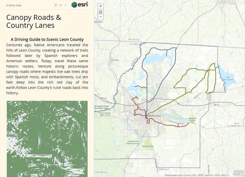 Canopy Roads Master Plan Goal One